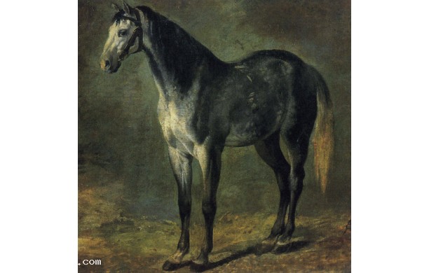 Il cavallo grigio