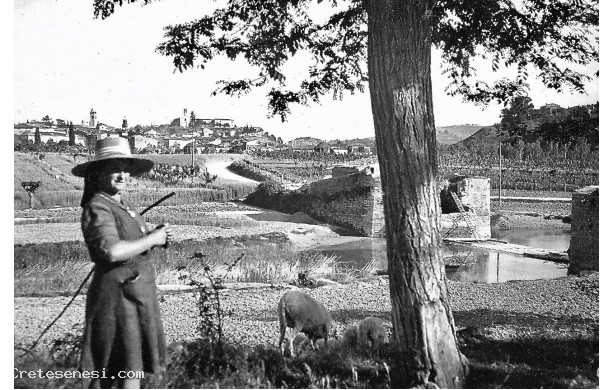 1947 - Pascolando le pecore  sul greto del fiume