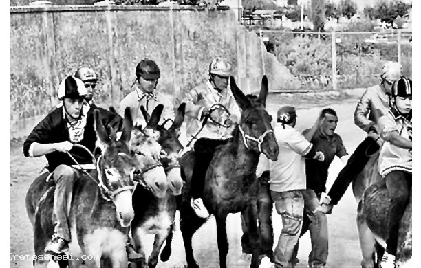 2008, 21 settembre - Mossa Palio dei Ciuchi, rinviato per pioggia la domenica precedente