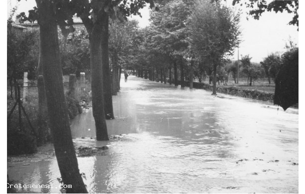 1966 - Alluvione di Asciano