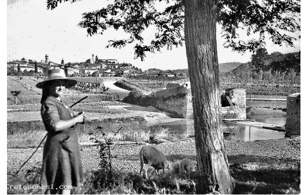 1947 - Pascolando le pecore  sul greto del fiume