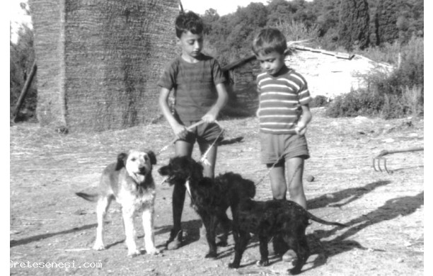 1966 - Due ragazzini amanti dei cani
