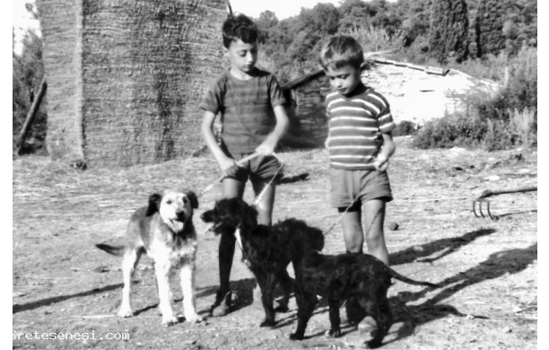 1966 - Due ragazzini amanti dei cani
