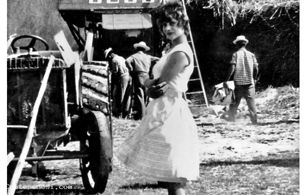 1953 - Civetterie durante la tribbiatura
