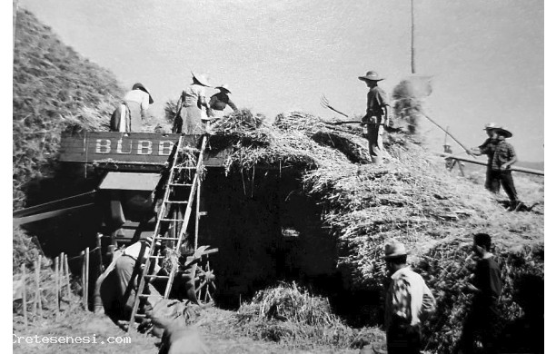 1953 - Trebbiatura a Scacciacucculi