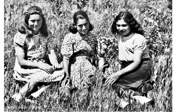 1943 - Le tre 'citte' dei Nucci di Casabassa