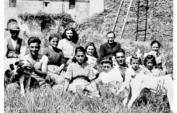 1943, Agosto - I Nucci di Casabassa dopo la Trebbiatura