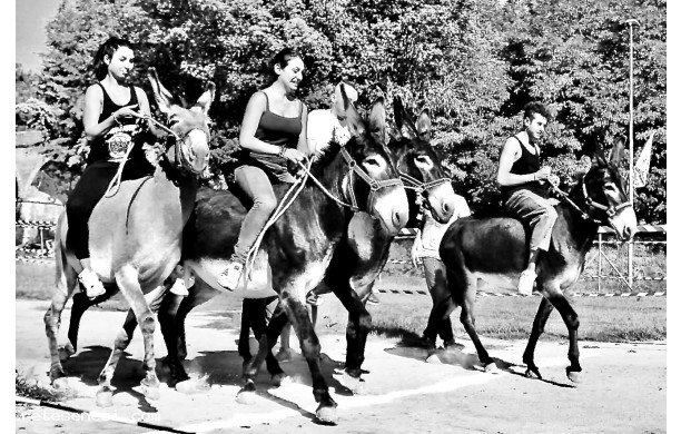 2016, Agosto - Donne aspiranti fantino