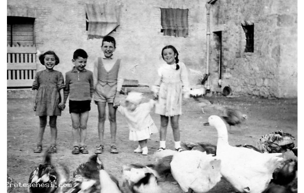 1952 - Bambini e animali nell'aia del Palazzo