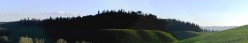 Cipressi al tramonto