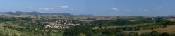 Le colline intorno ad Asciano