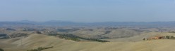 Il grigio il rosso e un p� di verde