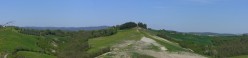 Lotta tra verde e grigio