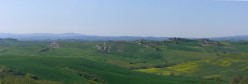 Il verde ed il giallo in primavera