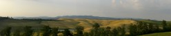 Il grano maturo attorno al laghetto