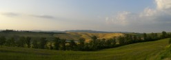 Il giallo e il verde