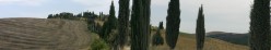 La fila di cipressi lungo la strada