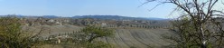 Il podere a fondo valle tra gli arbusti