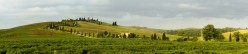 La strada bianca che sale alla fattoria