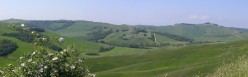 Uno sguardo verso Vescona