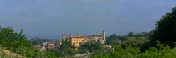 Vista panoramica da una oliveta a sud