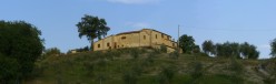 Casale di campagna con oliveta