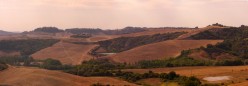 Un cotroluce sulle colline dorate
