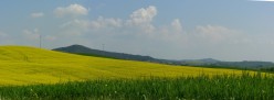 Verde, giallo, bianco e azzurro