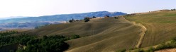 Montalcino in alto sullo sfondo