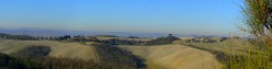 Sguardo a nord con ginestra in primo piano