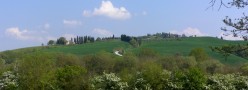 Cipressi e casali in val d'Asso