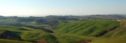Febbraio dal Pecorile