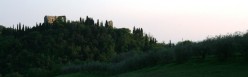 I resti di Montelifr� visto da nord sulla strada per Trequanda