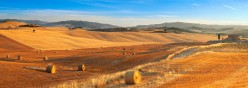 La campagna verso il Monte Amiata dopo la trebbiatura del grano