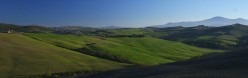 Verde vallata verso l'Amiata