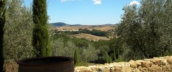 San Giovanni fra cipressi e olivi