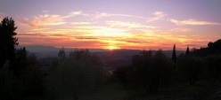 Tramonto tra olivi e cipressi