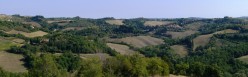 I calnchi e i boschetti di Monterongrifoli