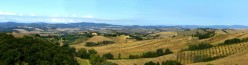 Sguardo a est verso la Valdarbia con Vescovado di Murlo sullo sfondo