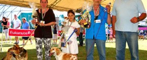 LA FESTA DEL CANE