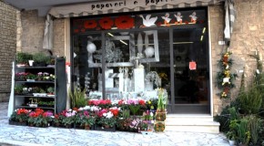 PAPAVERI & PAPERE di Fabiola Vaselli