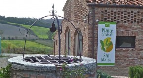 Piante Officinali San Marco