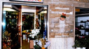 Il Fiore - Fiori e Piante