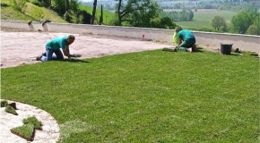 IL GRILLO VERDE S.N.C. di Farnetani Valentino e Paolo Alessa