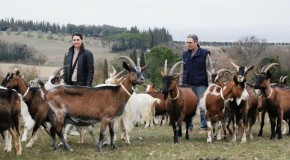 AZIENDA AGRICOLA BIOLOGICA SANTA MARGHERITA