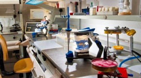 LABORATORIO ODONTOTECNICO GIOTTO di Riccardo Marcocci