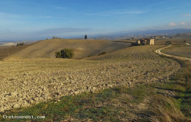 Ancient driveway for Serre of Rapolano