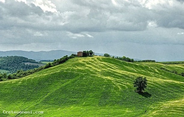 Dalla Pievina alla Causa e ritorno