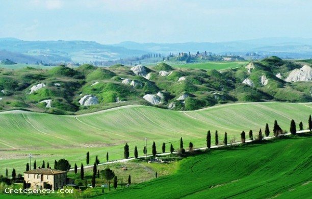 Tour n2 - Attraverso le colline del bacino del fiume Ombrone