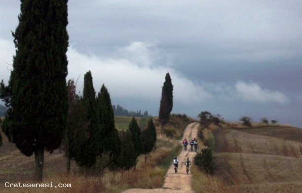 Between Val d'Arbia and Val d'Asso through Chiusure